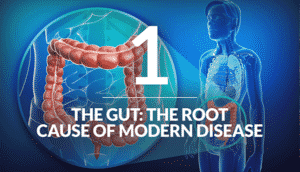 The Gut: The Root Cause of Modern Disease