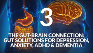 The Gut-Brain Connection: Gut Solutions for Depression, Anxiety, ADHD and Dementia