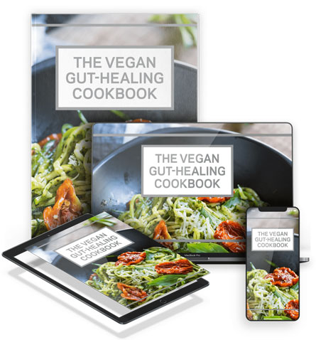 The Vegan Gut-Healing Cookbook