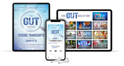 The Gut Solution Silver Package
